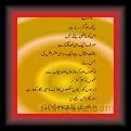 Ahmid Nadim Qusmi 01 * 22.03.2008 * 395 x 599 * (20KB)